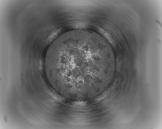 X0000096420161200801241324