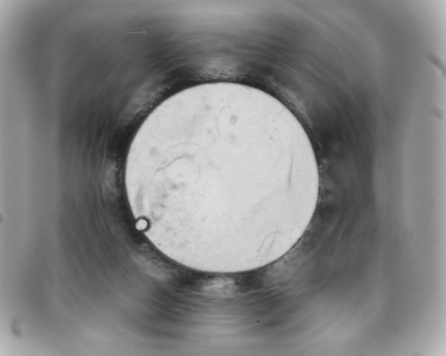 X0000096420162200801241324