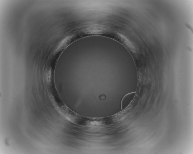 X0000096420163200801241324
