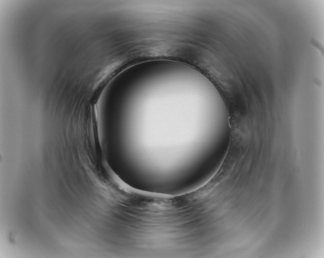 X0000096420164200801241324