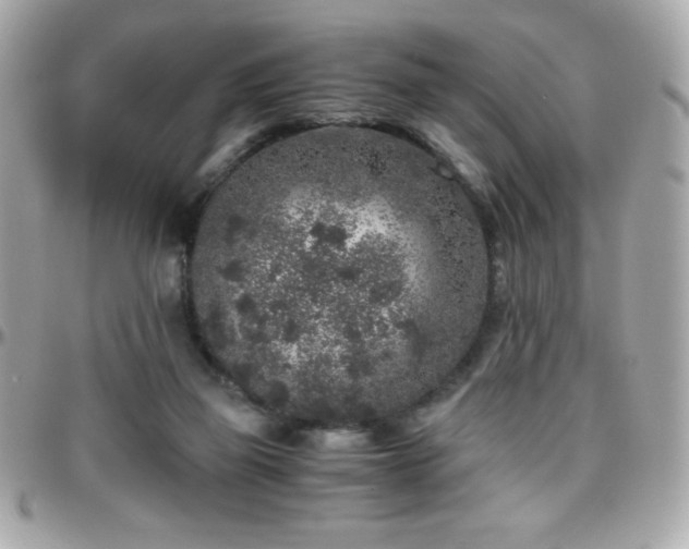 X0000096420165200801241324