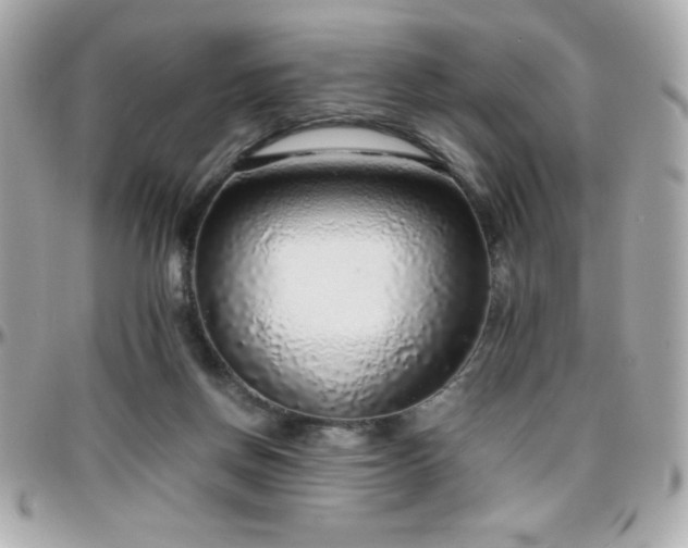 X0000096420166200801241324