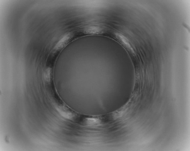 X0000096420167200801241324