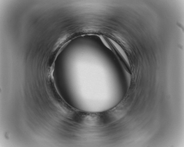 X0000096420168200801241324