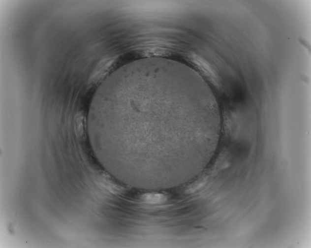 X0000096420169200801241324