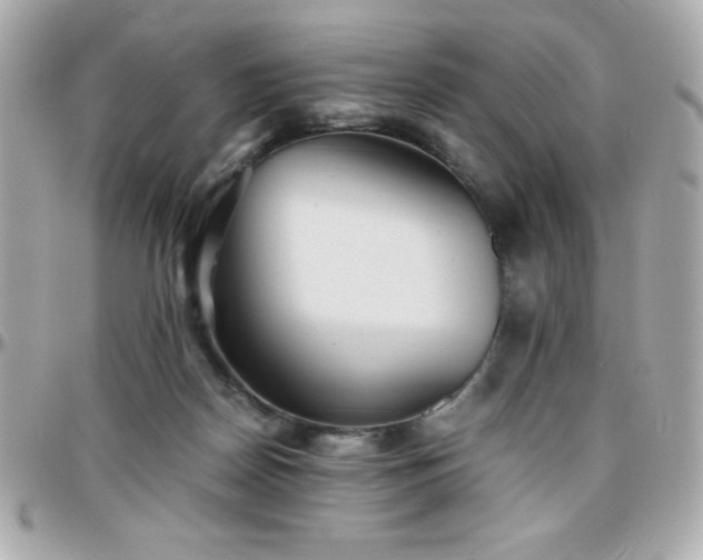 X0000096420170200801241324