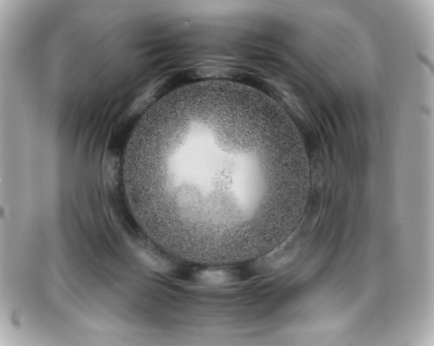 X0000096420171200801241324