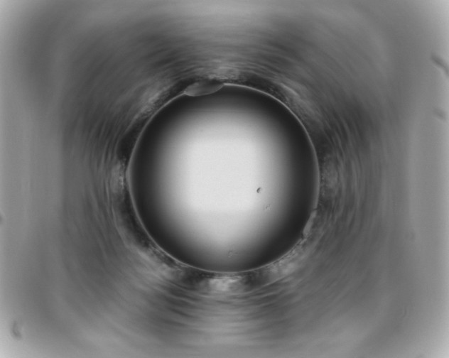 X0000096420172200801241324