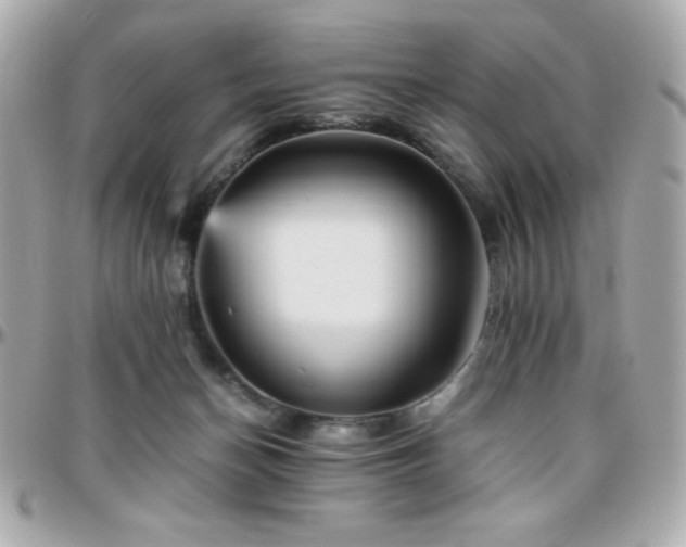 X0000096420174200801241324