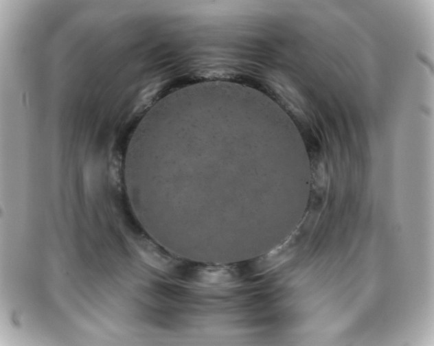 X0000096420175200801241324