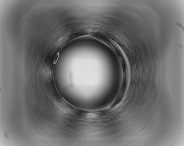X0000096420176200801241325