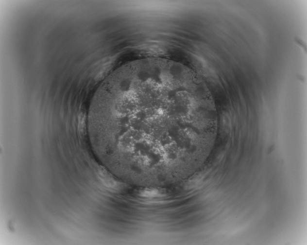 X0000096420177200801241325