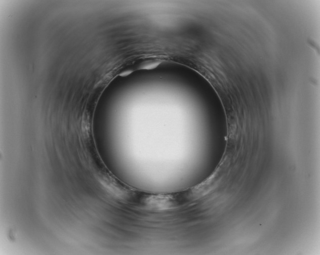 X0000096420179200801241325