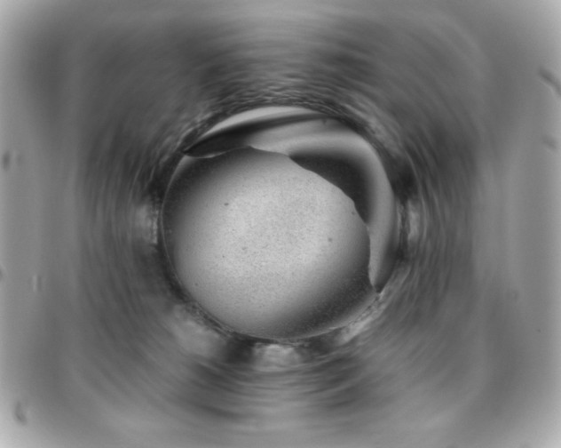 X0000096420180200801241325