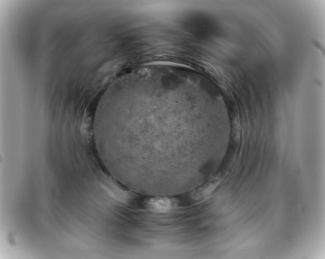 X0000096420181200801241325