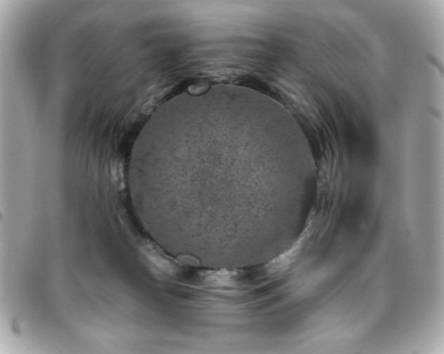 X0000096420182200801241325