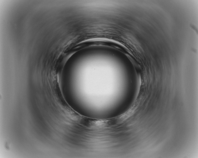 X0000096420184200801241325