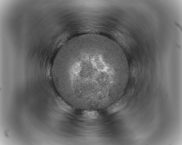 X0000096420185200801241325