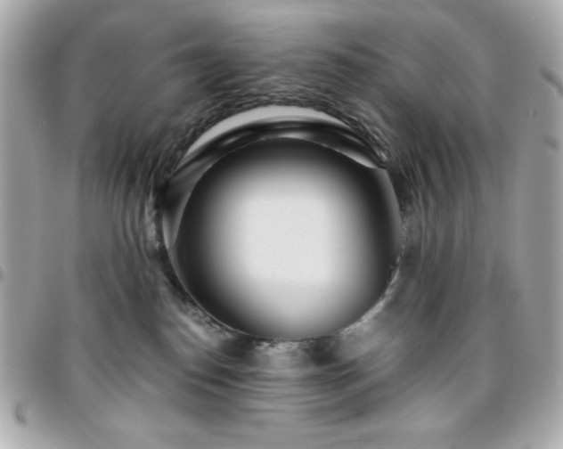 X0000096420186200801241325