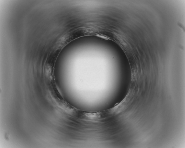 X0000096420187200801241325