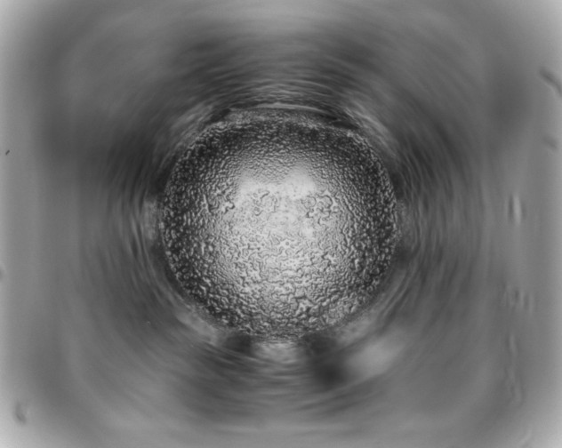 X0000096420189200801241325