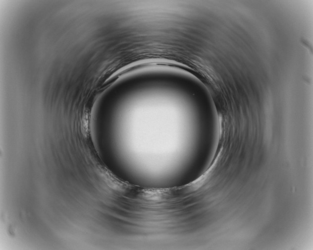 X0000096420190200801241325