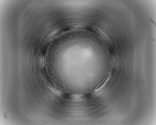 X0000096420191200801241325