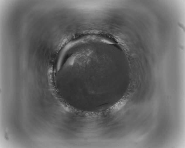 X0000096420192200801241325