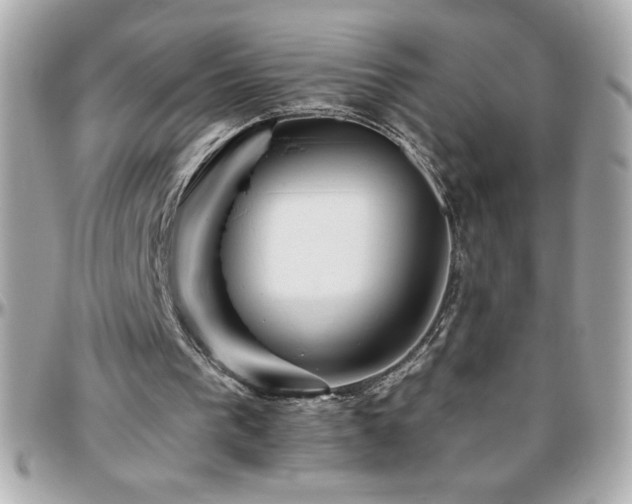 X0000096420193200801241324