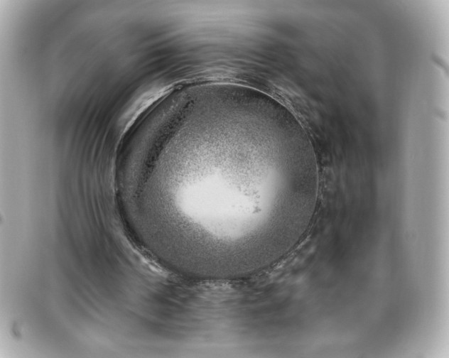 X0000096420194200801241324