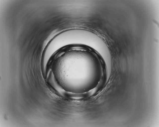 X0000096420195200801241324