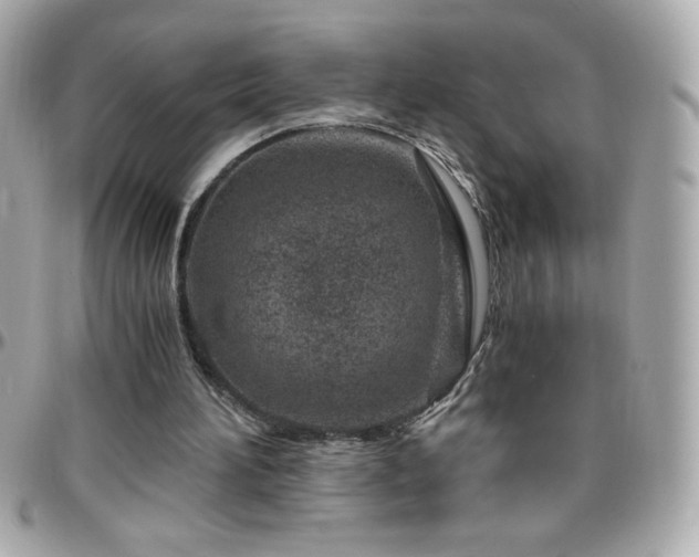 X0000096420196200801241324