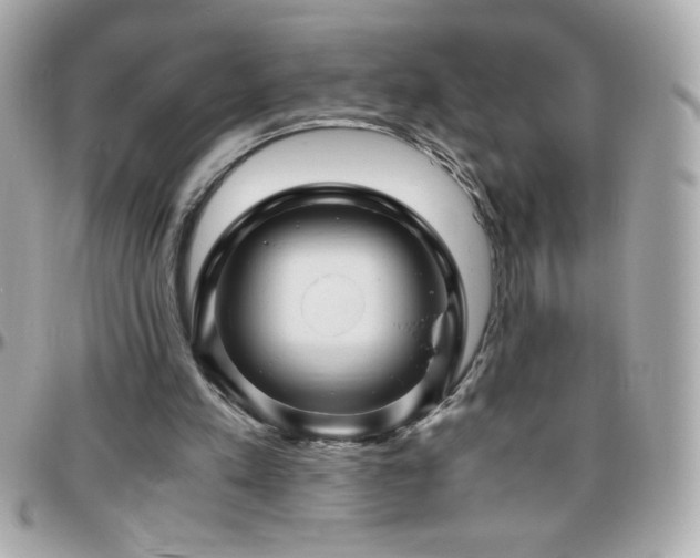 X0000096420197200801241324