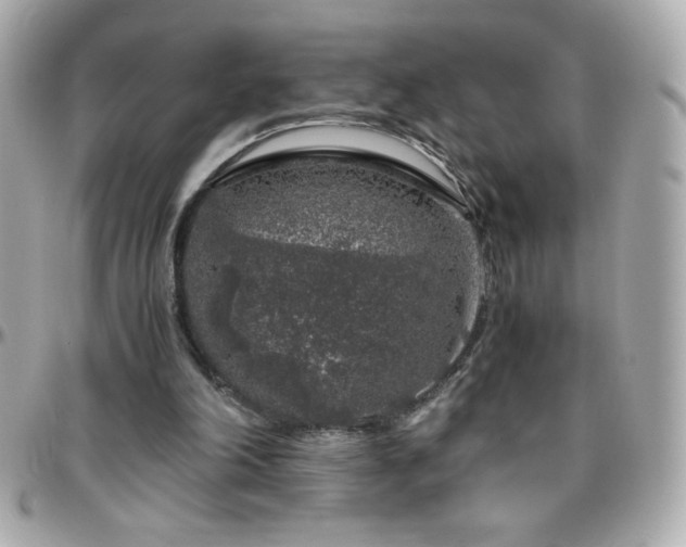 X0000096420198200801241324