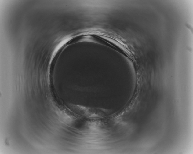 X0000096420200200801241324