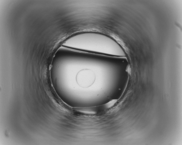 X0000096420201200801241324