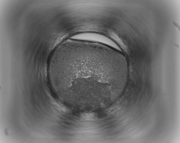 X0000096420202200801241324