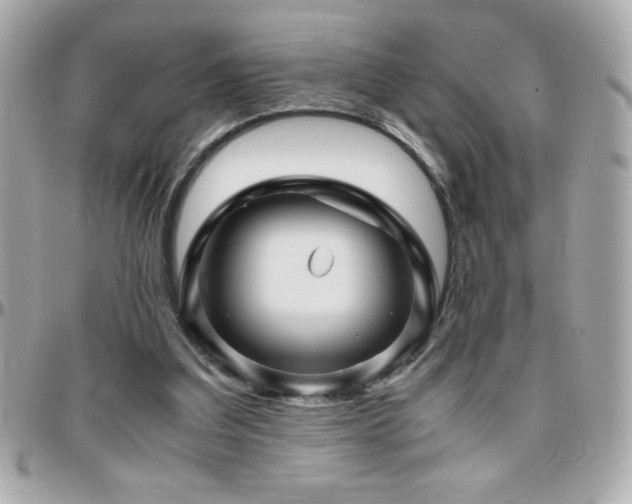 X0000096420203200801241324