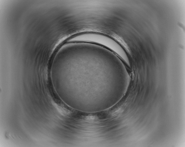 X0000096420204200801241324