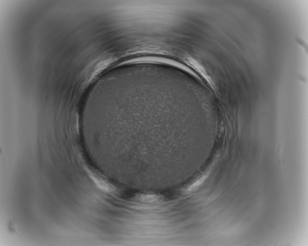 X0000096420205200801241324