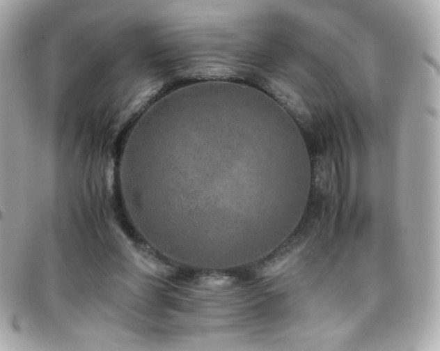 X0000096420206200801241324