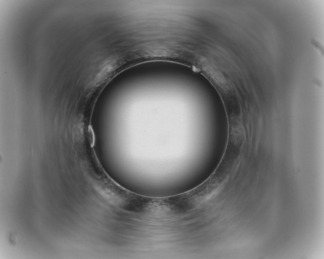 X0000096420207200801241324