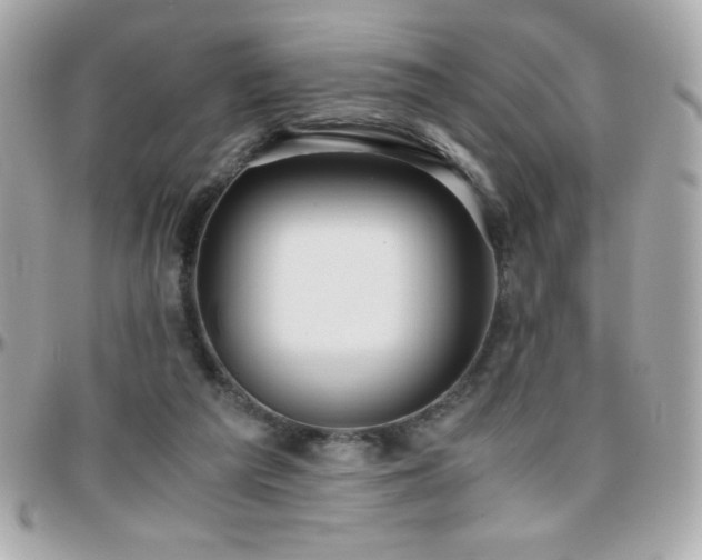 X0000096420209200801241324