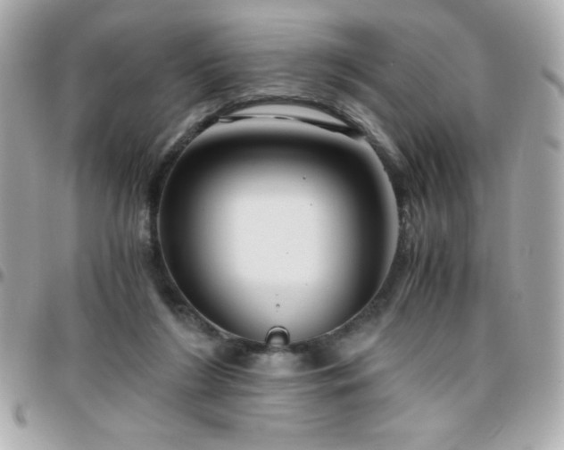 X0000096420212200801241324