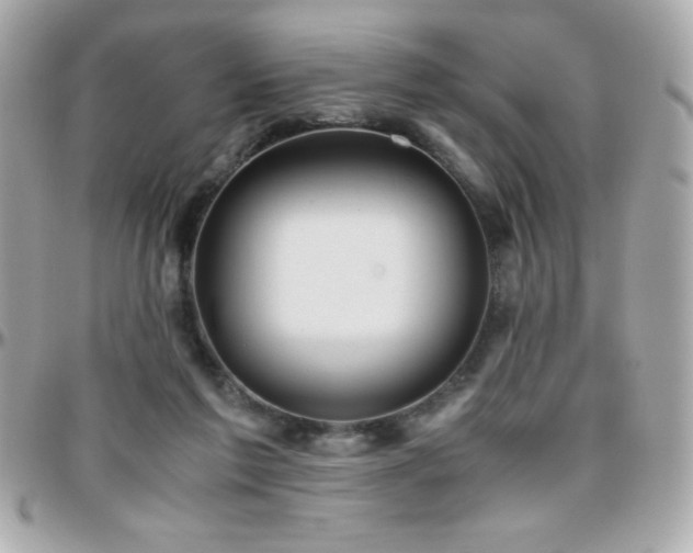 X0000096420213200801241324