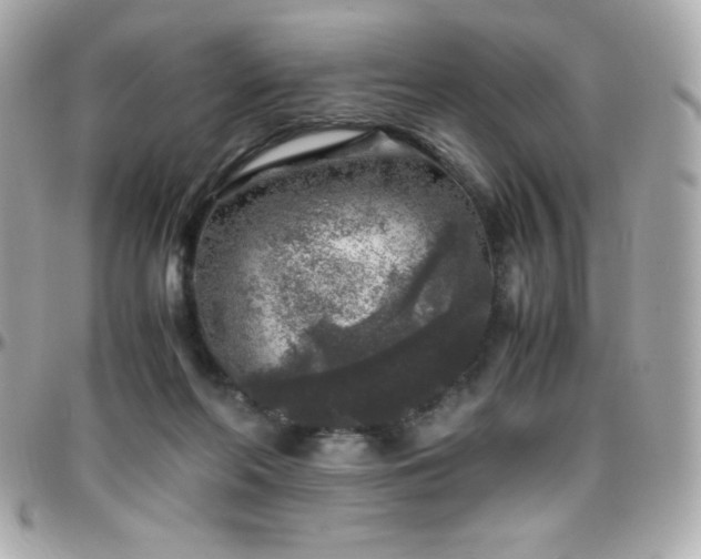 X0000096420214200801241324