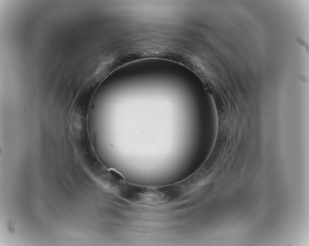 X0000096420215200801241324