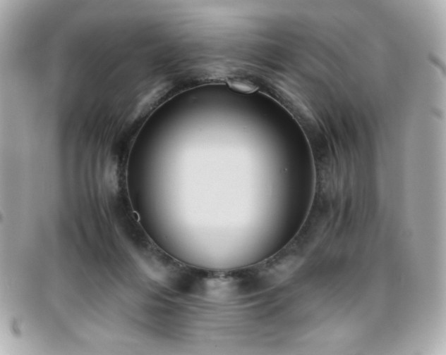 X0000096420216200801241324