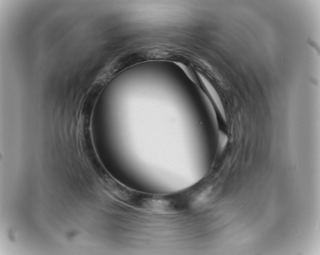 X0000096420217200801241324