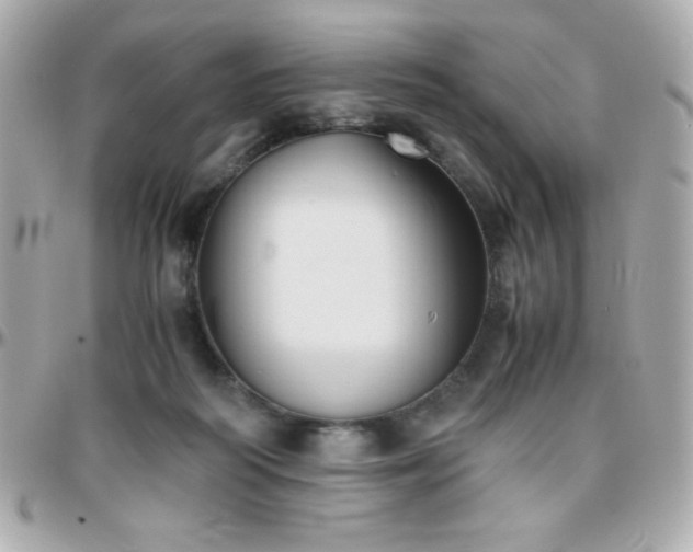 X0000096420218200801241324